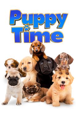 Puppy Time