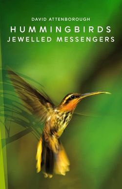 Hummingbirds: Jewelled Messengers