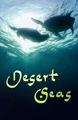 Desert Seas