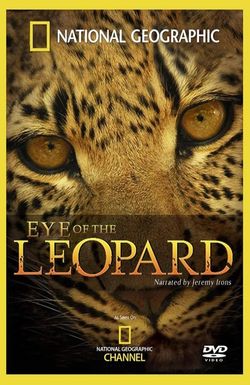 Eye of the Leopard