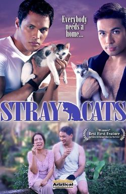 Stray Cats