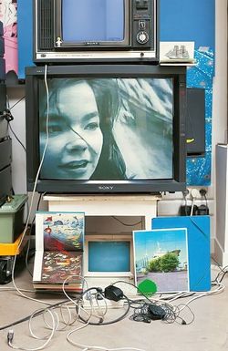 Bjork: Vessel