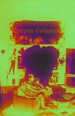 *Corpus Callosum
