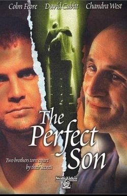 A Perfect Son