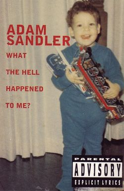 Adam Sandler: What the Hell Happened to Me?