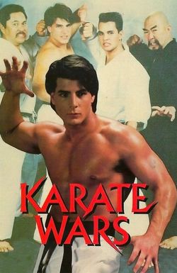 Karate Wars
