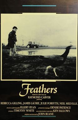 Feathers