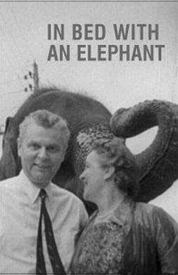 In Bed with an Elephant