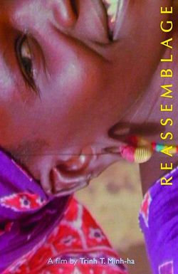 Reassemblage: From the Firelight to the Screen