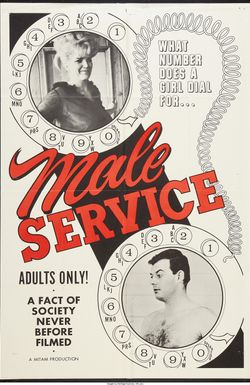 Male Service