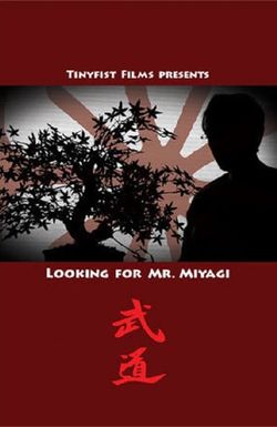 Looking for Mr. Miyagi