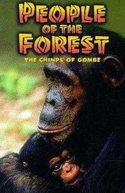 People of the Forest: The Chimps of Gombe