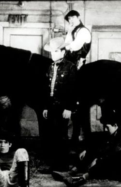 Horse