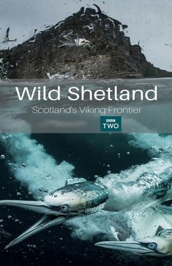 Wild Shetland: Scotland's Viking Frontier