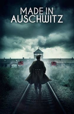 Made in Auschwitz: The Untold Story of Block 10