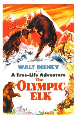 The Olympic Elk