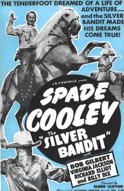 The Silver Bandit