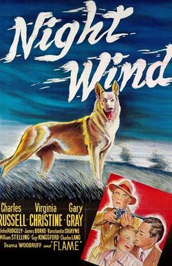 Night Wind