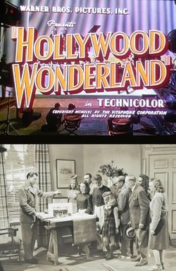 Hollywood Wonderland
