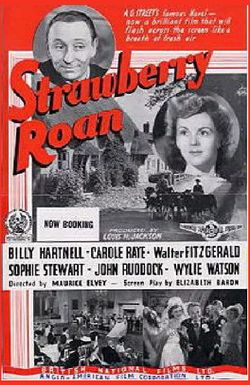 Strawberry Roan