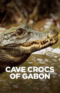 Cave Crocs of Gabon