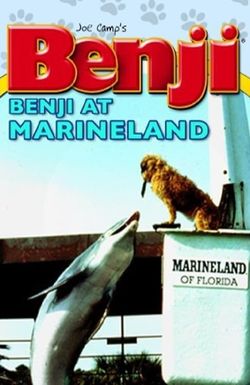 Benji Takes a Dive at Marineland