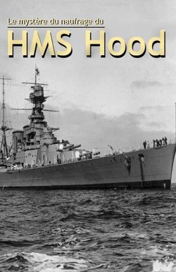 How the Bismarck Sank HMS Hood