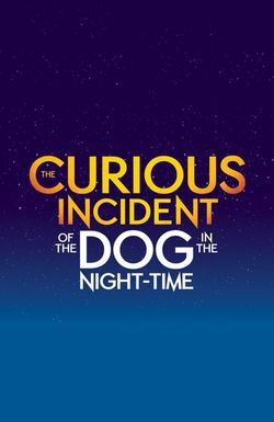 The Curious Incident of the Dog in the Night-Time