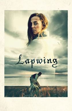 Lapwing