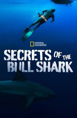 Secrets of the Bull Shark