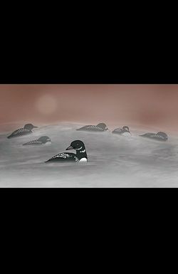 Loon Dreaming