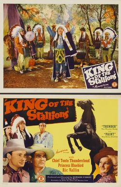 King of the Stallions