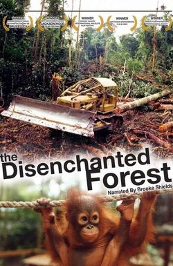 The Disenchanted Forest