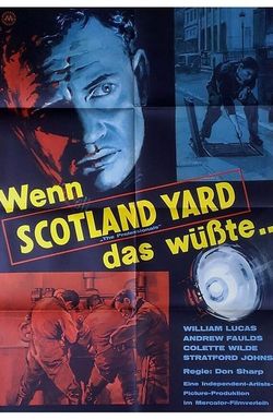 The Professionals