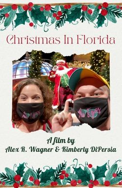 Christmas in Florida