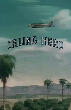 Ceiling Hero