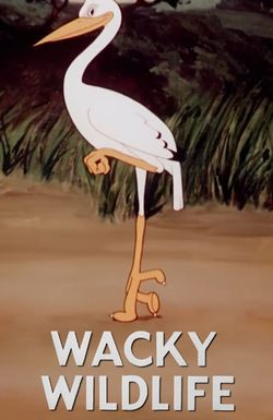 Wacky Wildlife
