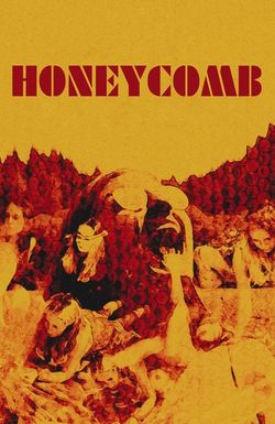 Honeycomb