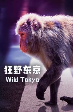 Wild Tokyo