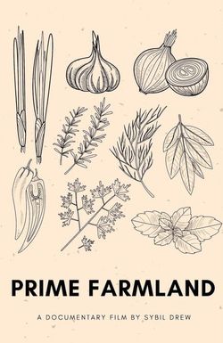 Prime Farmland