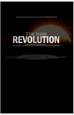 The Irish Revolution