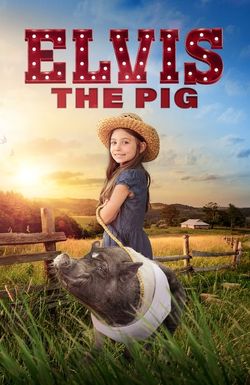 Elvis the Pig