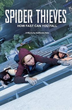 Spider Thieves