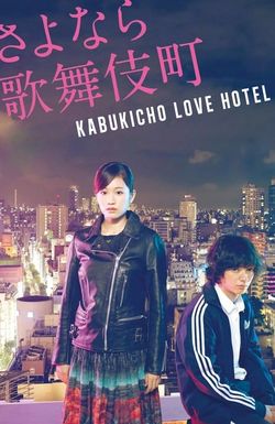 Kabukicho Love Hotel