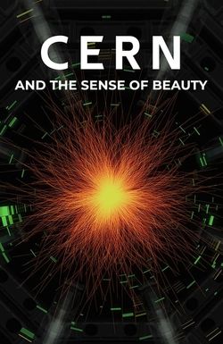 Il senso della bellezza - Arte e scienza al Cern