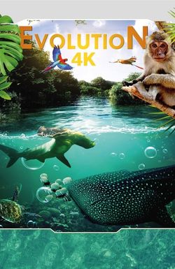 Evolution 4K