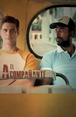The Companion