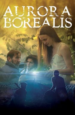 Aurora Borealis: Northern Light