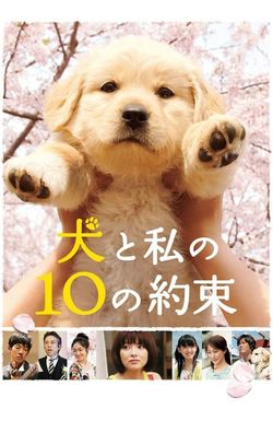 10 Promises to My Dog