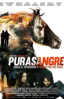 Purasangre